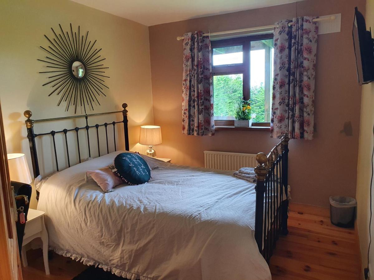 Carrick on Shannon Hillcrest House Bed & Breakfast エクステリア 写真